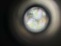 1 — копия.jpg