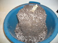 DSCF3145.JPG