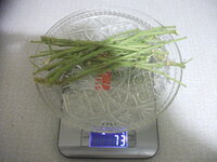 DSCF3129.JPG
