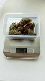1000121367.jpg
