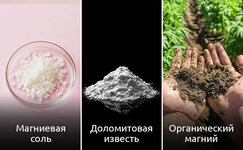 Magnii-dlya-konopli__TopJlnPWHa07GHR9.jpg Magnii-dlya-konopli__TopJlnPWHa07GHR9.jpg