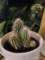 IMG_20260515_020543.jpg