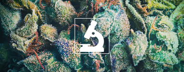 1778915495758.png 1778915495758.png