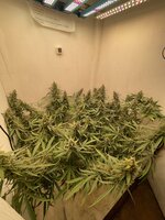 IMG_4248.jpeg