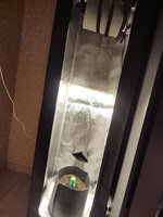 IMG_20260517_225620.jpg