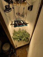 IMG_4277.jpeg