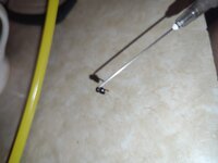 IMG_20260519_230413.jpg