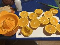 IMG_0108.jpeg