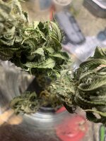 IMG_0162.jpeg