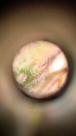 1770366818110.jpg