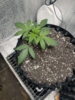 IMG_3020.jpeg
