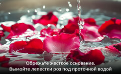 shag-1__3aqoR1INhAAnfxQA.jpg shag-1__3aqoR1INhAAnfxQA.jpg