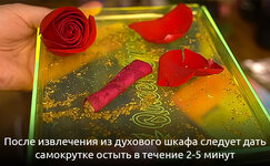 shag-6__m0P7SU4jwMLuQlfK.jpg shag-6__m0P7SU4jwMLuQlfK.jpg