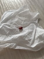 IMG_2495.jpeg