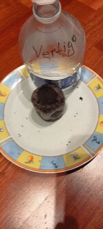 IMG_20260523_042836.jpg