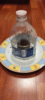 IMG_20260523_044513.jpg
