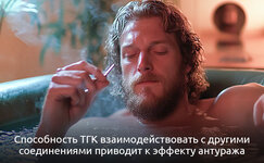 Terapevticheskie-svoistva-TGK__nvH3eu6S3mBgIbBy.jpg Terapevticheskie-svoistva-TGK__nvH3eu6S3mBgIbBy.jpg