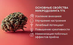 Mikrodozing-TGK-osnovnie-svoistva-i-preimushchestva__gBCugVGazgEdur0U.jpg Mikrodozing-TGK-osnovnie-svoistva-i-preimushchestva__gBCugVGazgEdur0U.jpg
