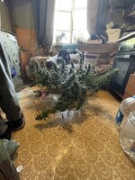 IMG_4350.jpeg