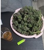 изображение_2026-05-24_163518260.png
