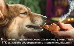 TGK__YK42HazPX2WBZSBB.jpg TGK__YK42HazPX2WBZSBB.jpg