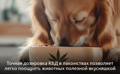 Lakomstva__3LK5w12sxS2VcSOW.jpg Lakomstva__3LK5w12sxS2VcSOW.jpg