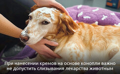 Mazi-i-kremi__rxpkyv3SMmOSDBdc.jpg Mazi-i-kremi__rxpkyv3SMmOSDBdc.jpg