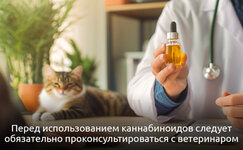Pravila-dozirovki-i-bezopasnosti__z0oWfFPnXerJ8cKs.jpg Pravila-dozirovki-i-bezopasnosti__z0oWfFPnXerJ8cKs.jpg