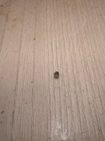 IMG_20260502_113555_758.jpg