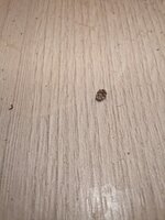 IMG_20260502_113603_342.jpg