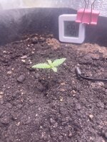 IMG_0501.jpeg