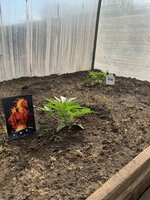IMG_1115.jpeg