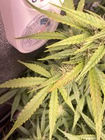 IMG_5903.jpeg
