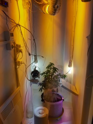 20220615_203413.jpg