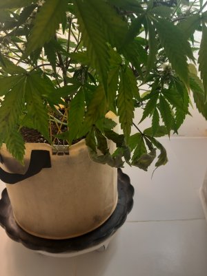20220617_113839.jpg