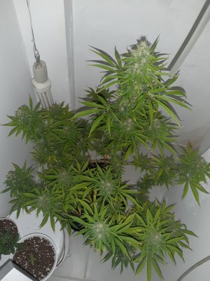 20220619_004505.jpg