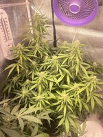 IMG_5909.jpeg