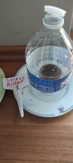 IMG_20260528_142006.jpg