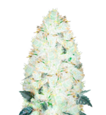 1780054655912.png