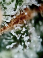 Day 96 29.05 (12).jpg