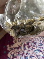 IMG_4417.jpeg