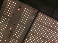 IMG_20260531_205619.jpg