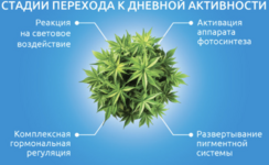 1780500549036.png 1780500549036.png