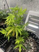 IMG_3213.jpeg