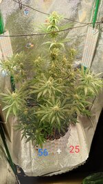 1000126892.jpg