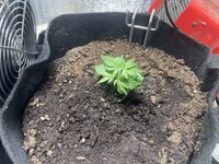 IMG_0528.jpeg