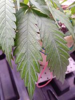 20260607_214008101.jpg