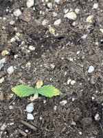 IMG_3055.jpeg