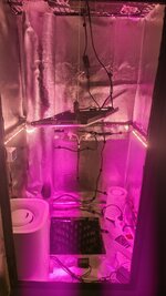 IMG_20260615_124130_541.jpg
