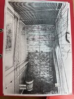 IMG_5697.jpeg